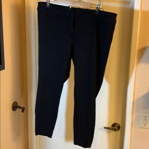 Loft Plus Crop Ponte Panta with Ankle Zippers 18W